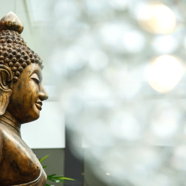 Thermen Bussloo hotel buddha 3 500