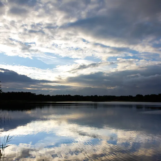 Thermen Bussloo tuin uitzicht 1000