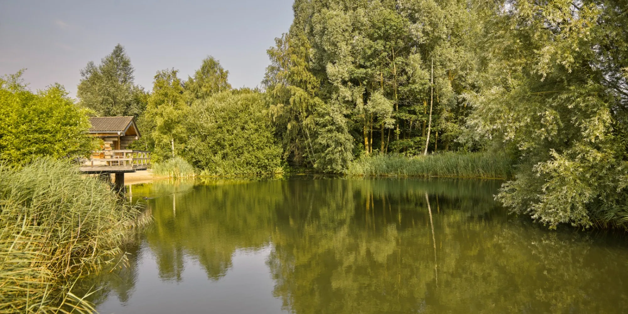 Thermen bussloo tuin 2 1000